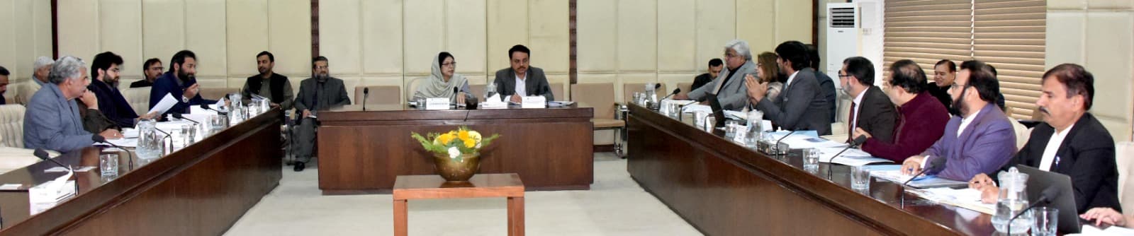 Senate Committee Discusses SME Development and State-Owned Entities